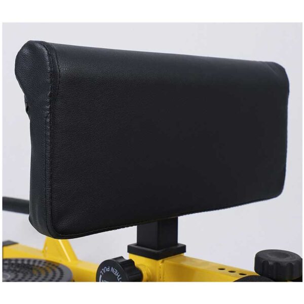 Professional Sissy Squat Machine - Fitness Equipment Supplier