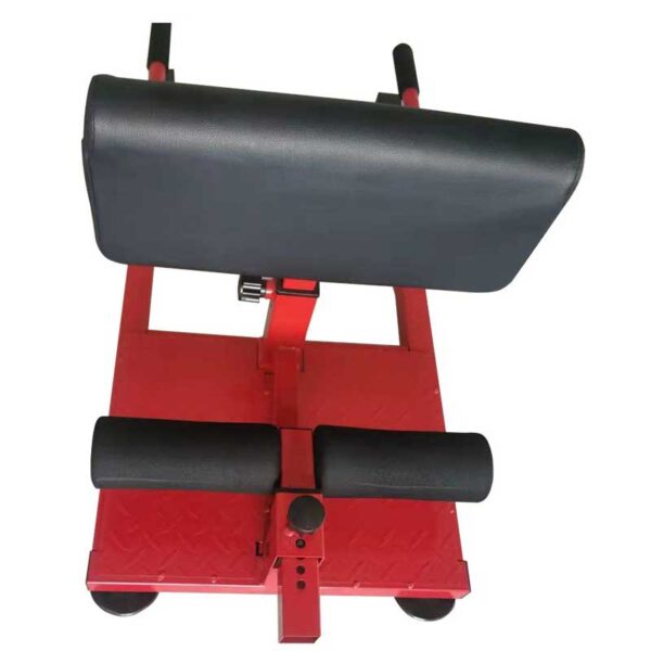 Sissy Squat Machine - Fitness Equipment Supplier & Manufacturer