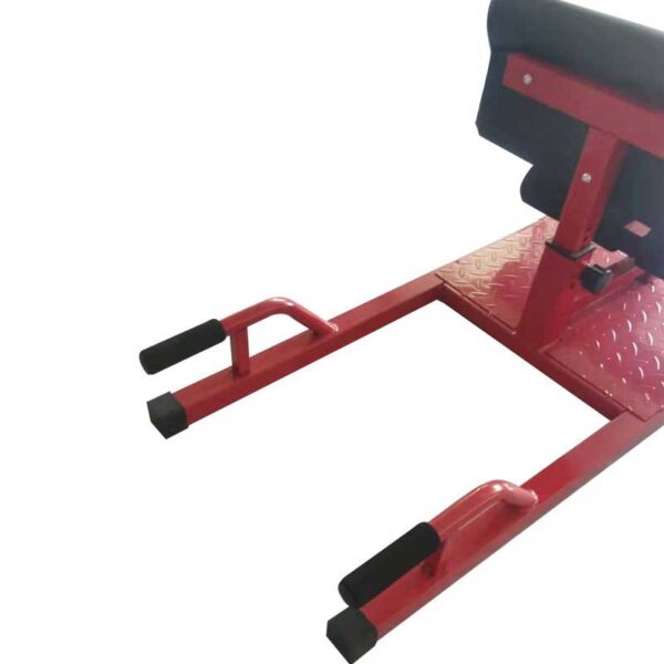 Professional Sissy Squat Machine for Lower Body Workout - OEM Available
