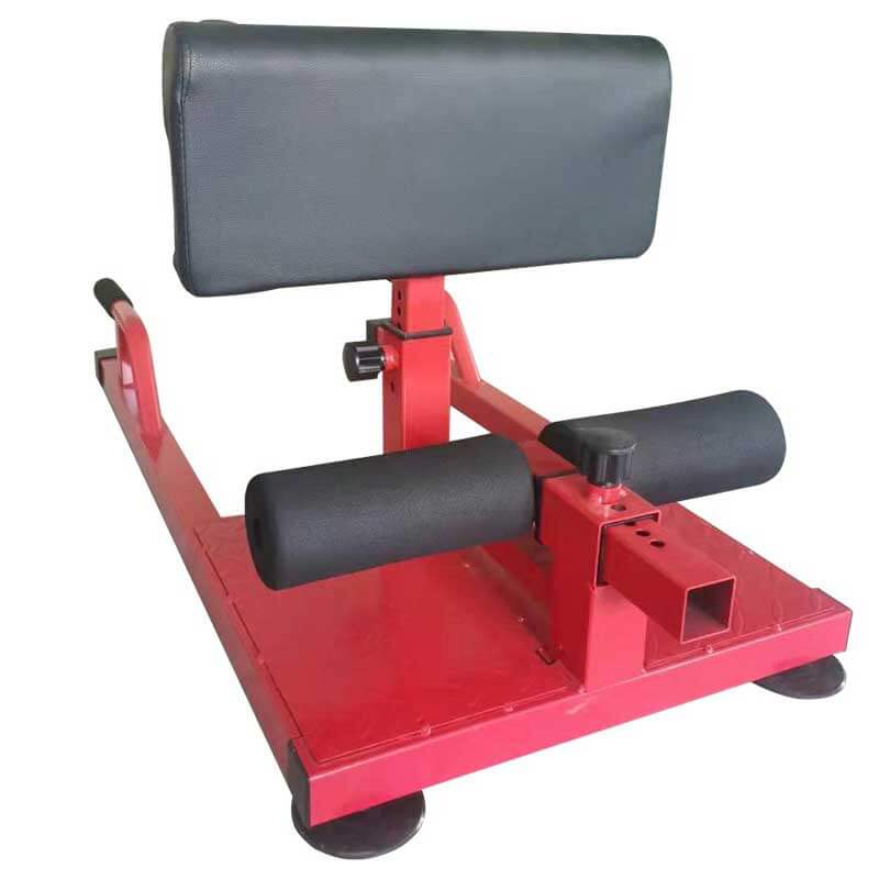 OEM Sissy Squat Machine for Fitness Equipment Wholesalers