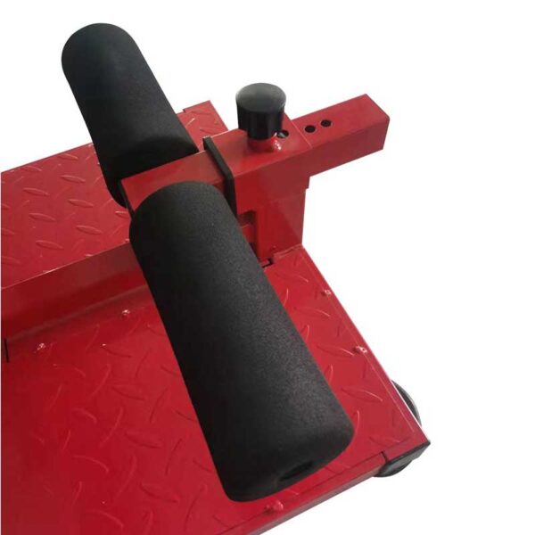Bulk Order Sissy Squat Machines - Lower Body Workout Supplier