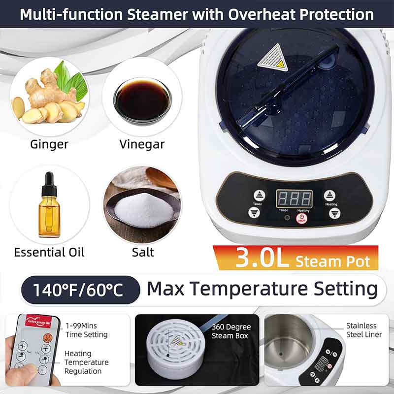 Multi function Steamer with Overheat Protection