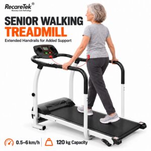 Model 168 walking treadmills arranged for a wholesale order